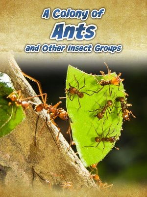 cover image of A Colony of Ants